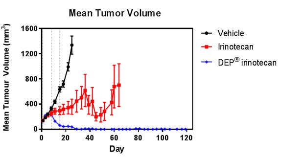 Figure_1___DEP_Irinotecan.jpg