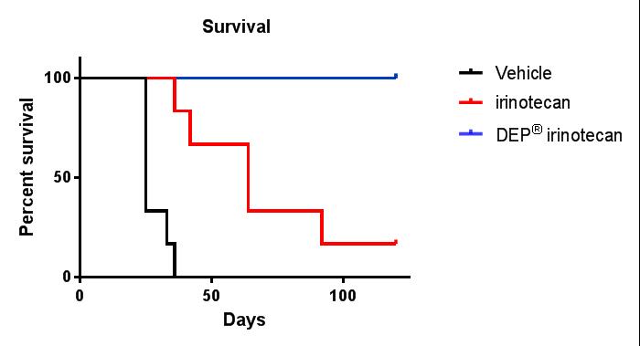 Figure_2___DEP_Irinotecan.jpg